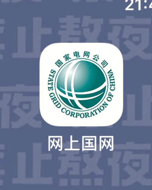 网上国网下载2026