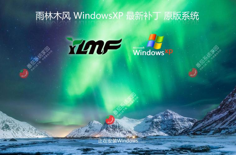 雨林木风xp系统下载2026