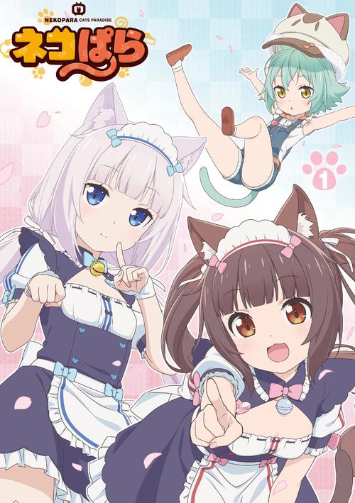 猫娘乐园下载2026