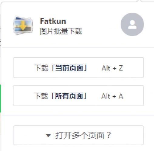 fatkun图片批量下载2026