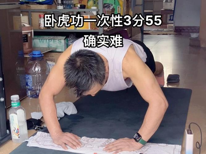 卧虎下载2026