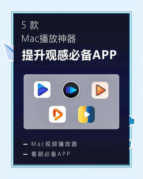 播放器视频2026