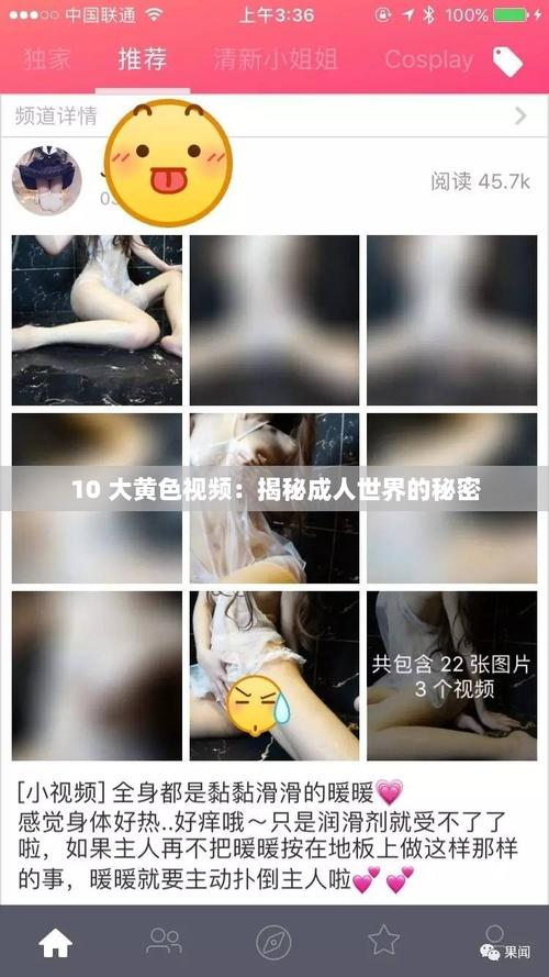 黄色视频成年人2026