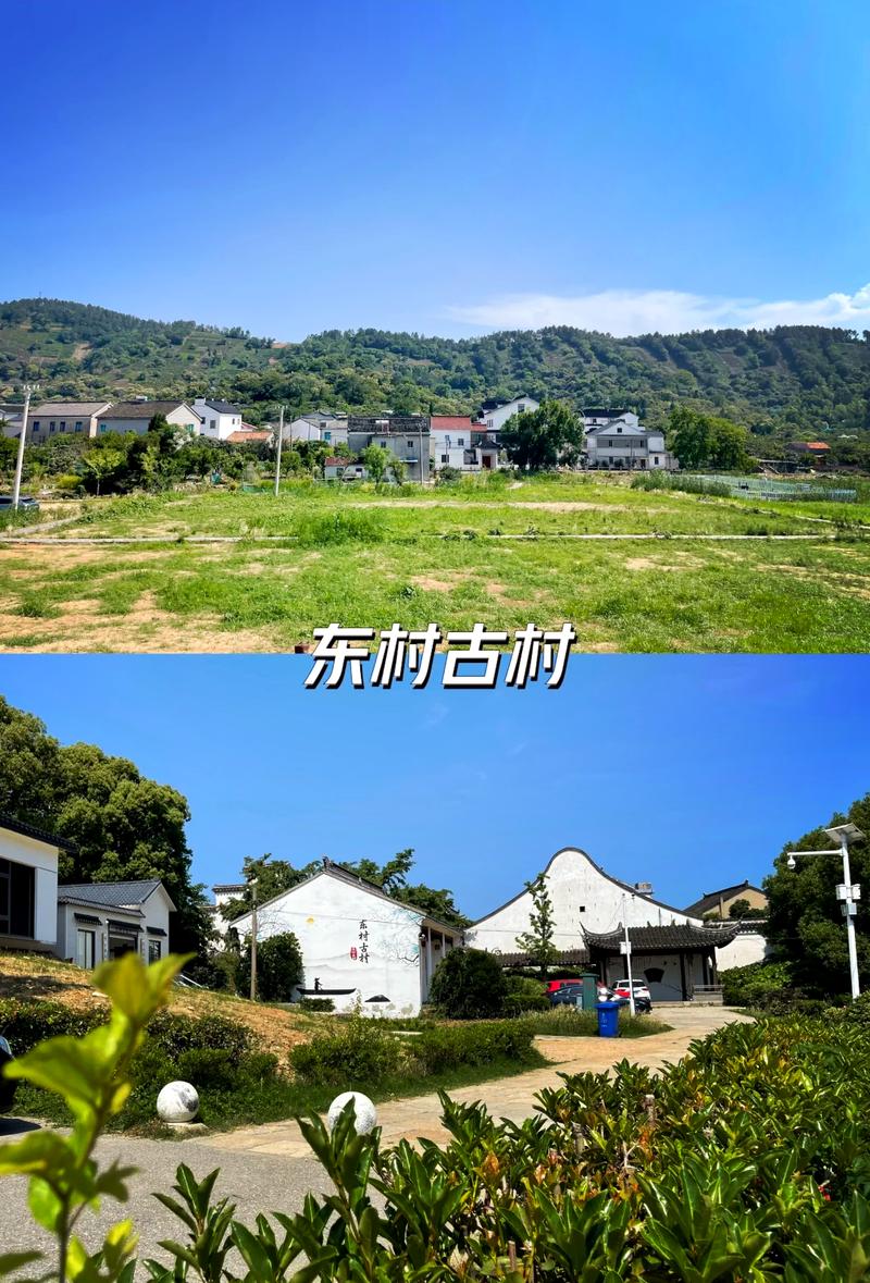 东村视频2026