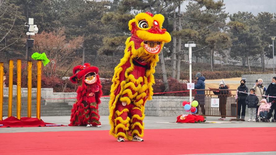 舞狮视频2026
