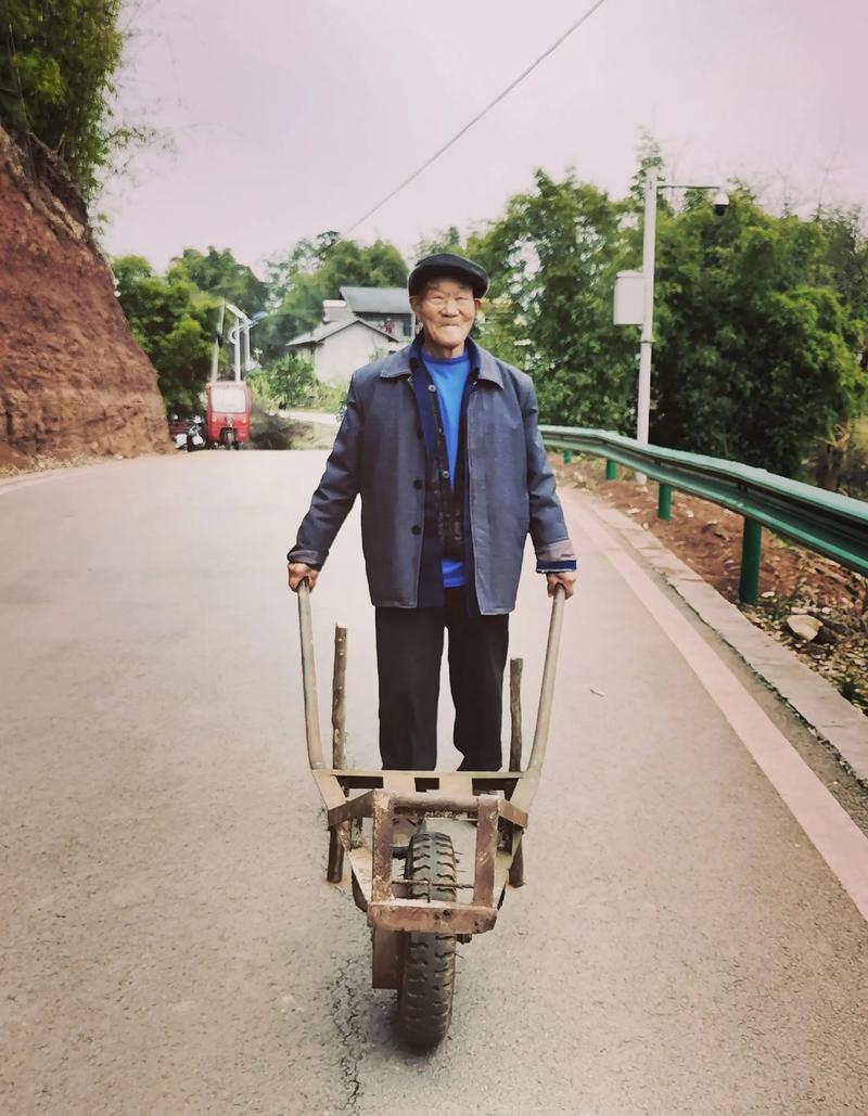 老汉 推车视频2026