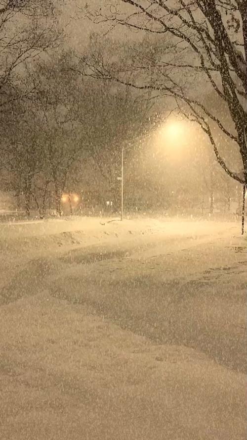 下雪视频2026