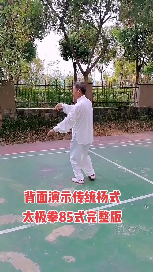 杨式太极拳85式视频2026