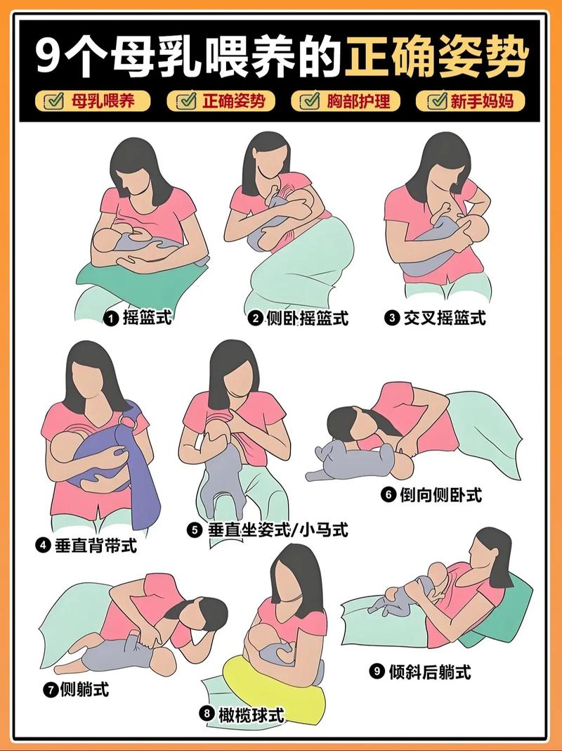 哺乳教学视频2026