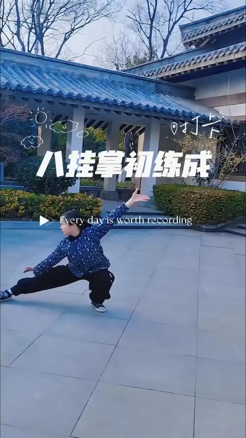 八卦掌教学视频2026