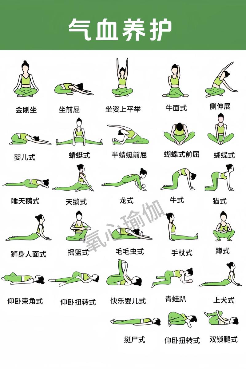 瑜伽视频教程初级2026