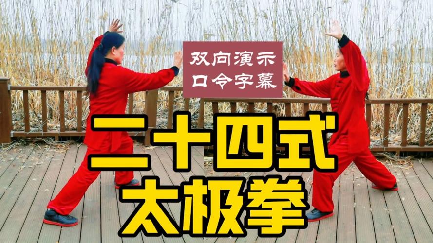 太极二十四式视频2026
