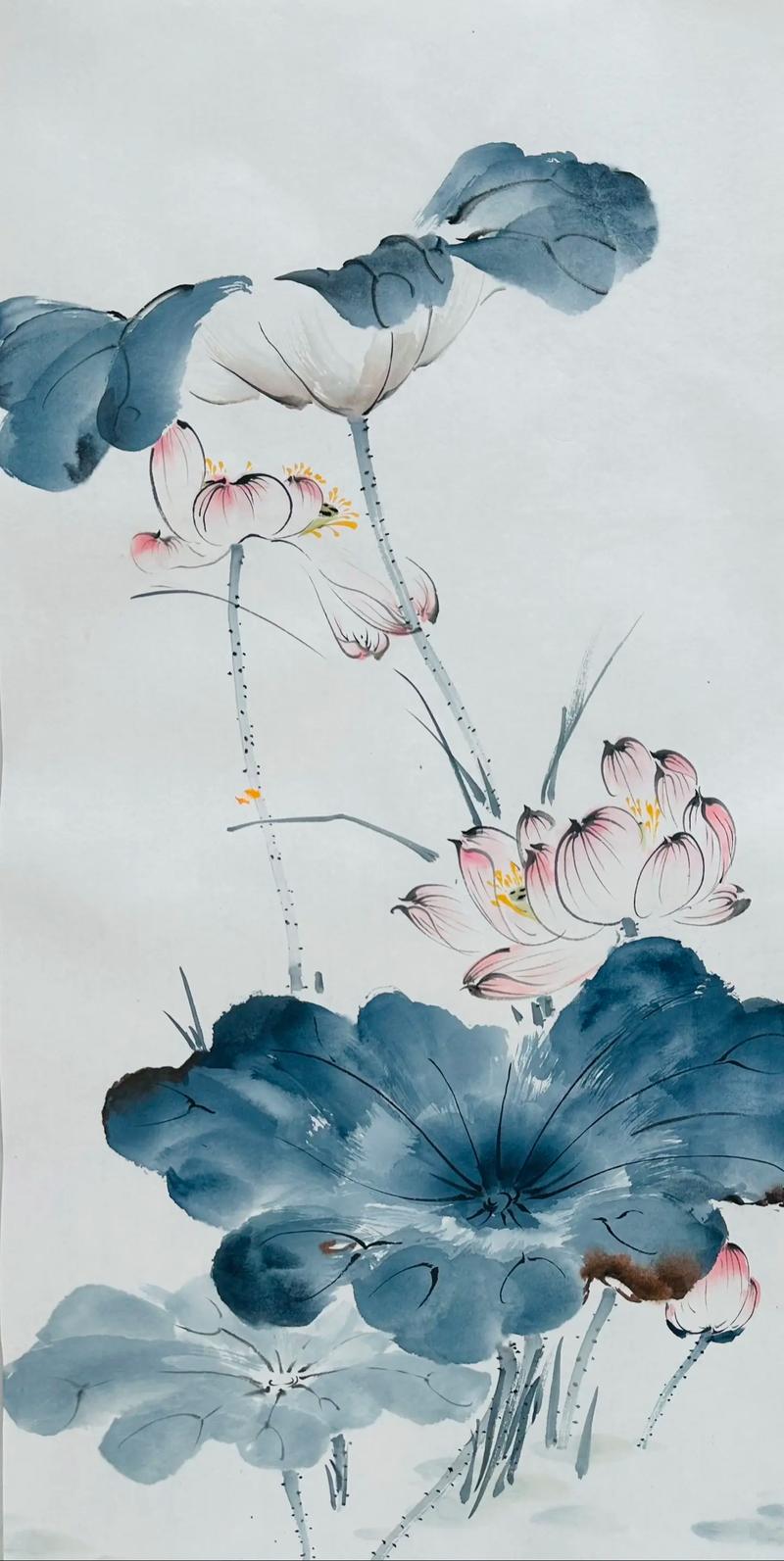 水墨荷花视频2026