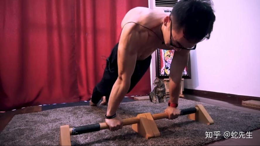 俄挺视频2026