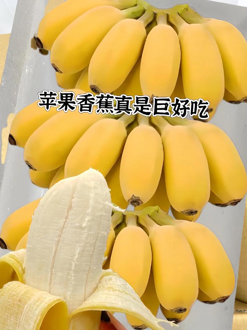 苹果香蕉视频2026