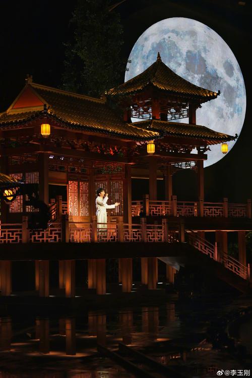 明月天涯视频2026