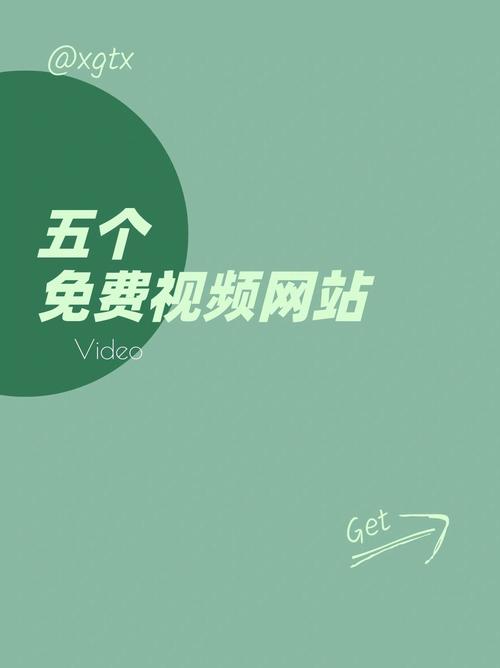 在线视频专区2026