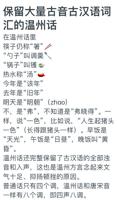 温州话视频2026