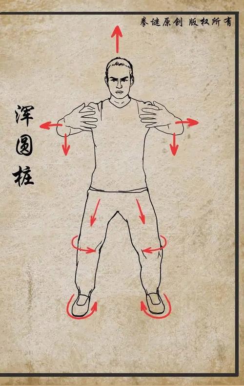 混元桩教学视频2026