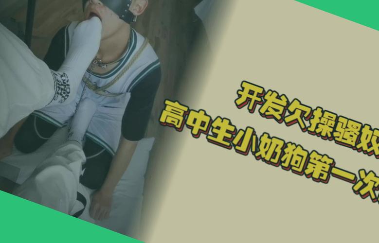 潦草视频在线播放2026