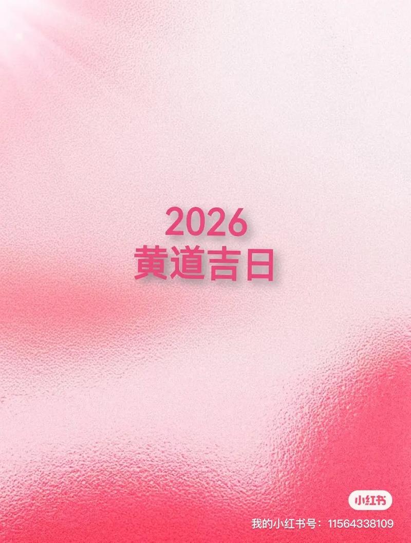 好好的曰的视频2026
