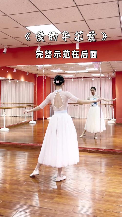华尔兹舞教学视频2026