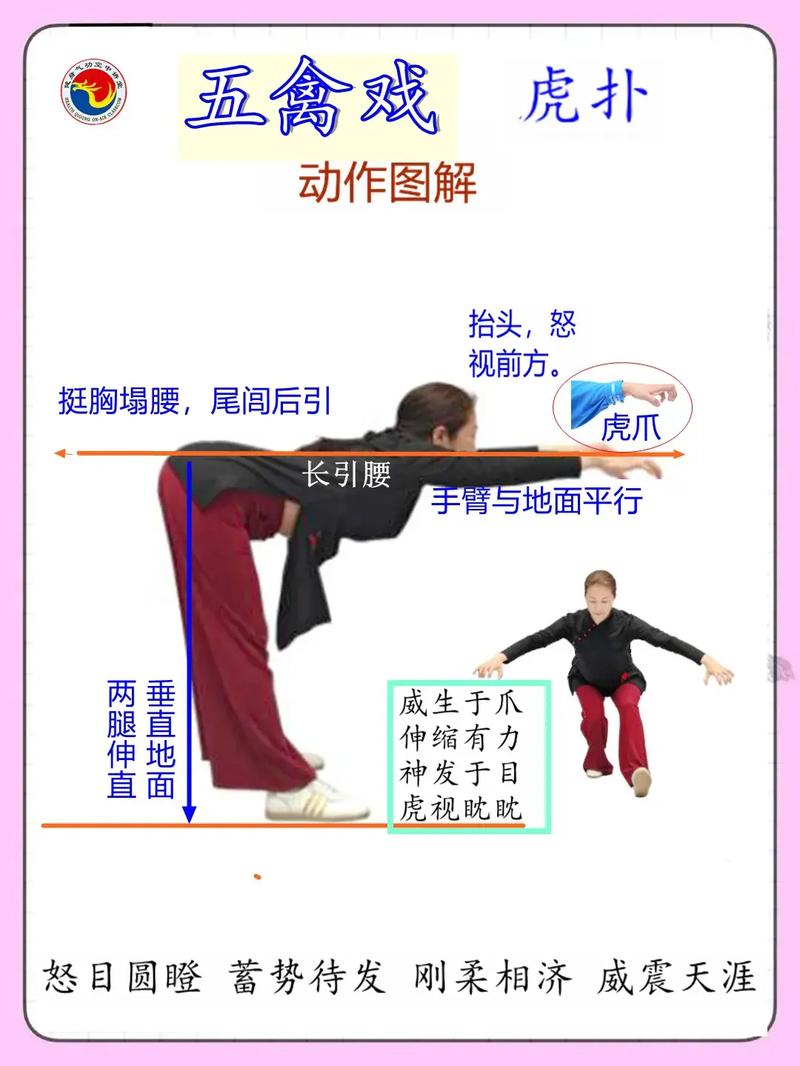 健身气功五禽戏视频2026