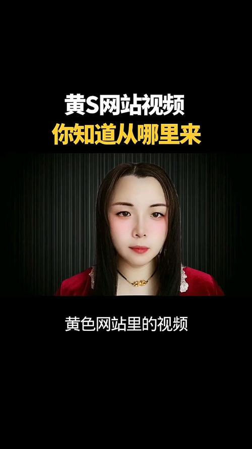 黄页视频播放2026
