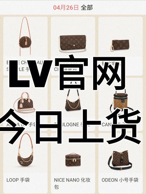 dianlv下载2026