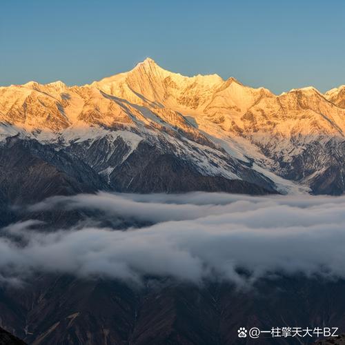 金山3602026