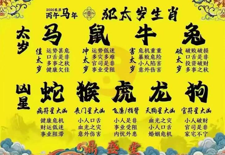 看看看2026